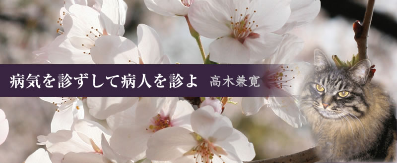 病気を診ずして病人を診よ 高木兼寛